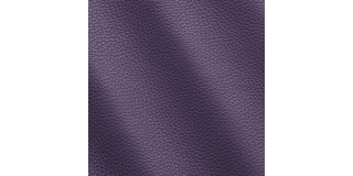 Express Fashion Adria Purple I71884