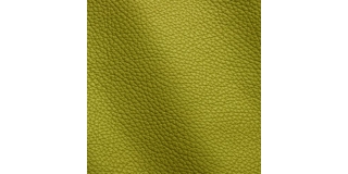 Express Fashion Adria Vinaigrette I681180