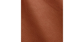 Express Fashion Adria Woody I742410