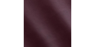 Express Fashion Aida Blackberry 1608