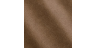 Express Fashion Aida Daino 1605