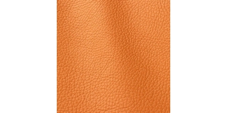 Express Fashion Atlantic Arancio 511
