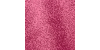 Express Fashion Atlantic Camelia 544