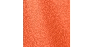 Express Fashion Atlantic Coral 536