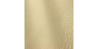 Express Fashion Atlantic Cream 521