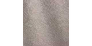 Express Fashion Atlantic Ivory 530