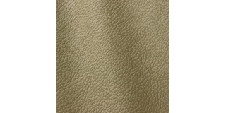 Express Fashion Atlantic Olive 546