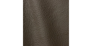 Express Fashion Atlantic Taupe 525