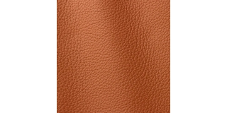 Express Fashion Atlantic Terra 507