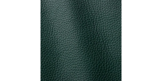 Express Fashion Atlantic Verde 520