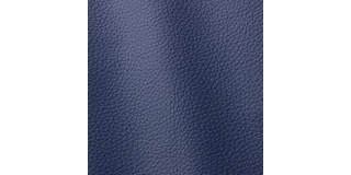 Express Fashion Atlantic Violet Blue 541
