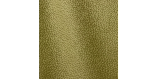 Express Fashion Atlantic Yellow Green 545