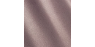 Express Fashion Atmosphere Lotus 758