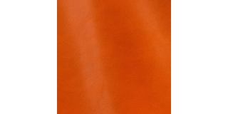 Express Fashion Classic Arancio 809