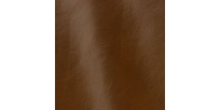 Express Fashion Classic Baobab 810