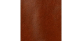 Express Fashion Classic Chestnut 805