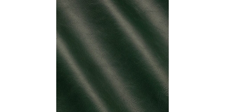 Express Fashion Classic Fir 821