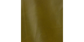 Express Fashion Classic Green 812
