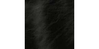 Express Fashion Classic Nero 807