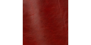 Express Fashion Classic Red 803