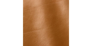 Express Fashion Classic Sand 814