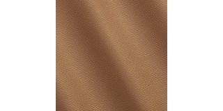 Express Fashion Crumbs Lion MP480129