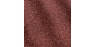 Express Fashion Epic Burgundy 1309