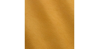 Express Fashion Epic Gelb 1303