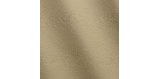Express Automotive Estoril Beige 1005