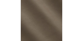 Express Fashion Horus Earth I533179