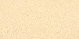 Virtus 21 652