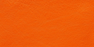 Virtus 61 235