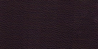 Virtus 32 253