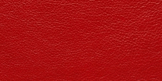 Virtus 60 959
