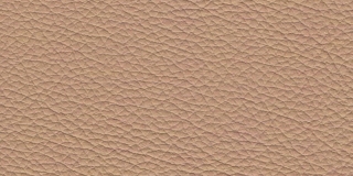 Madras 21620