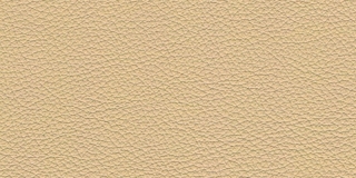 Madras 21152
