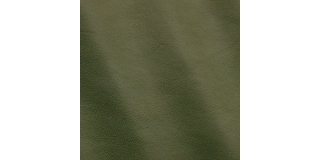 Express Fashion Joy Birch MS450015