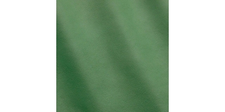 Express Fashion Joy Green Ray MS410040