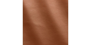 Express Fashion Joy Lion MS640077