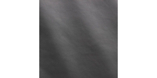 Express Fashion Joy Schist MS860019