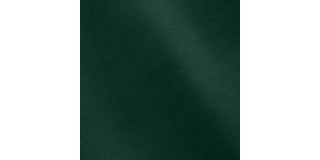 Express Fashion Joy Serpentine MS450021
