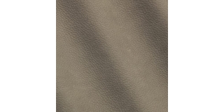 Express Fashion Kairos Cenere 1711