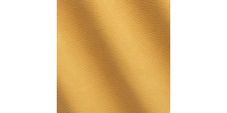 Express Fashion Kairos Duck Bill 1707