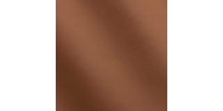 Express Automotive Le Mans Nutcream 1220