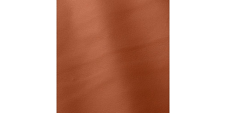 Express Fashion Linea Cotto 656