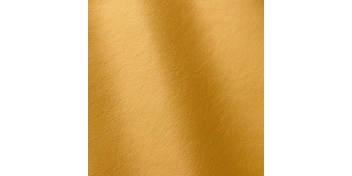 Express Fashion Linea Giallino 619