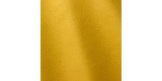 Express Fashion Linea Giallo 620