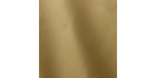 Express Fashion Linea Green 631