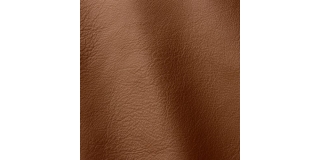 Express Fashion Linea Marrone 608