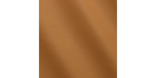 Express Fashion Linea Miel 679